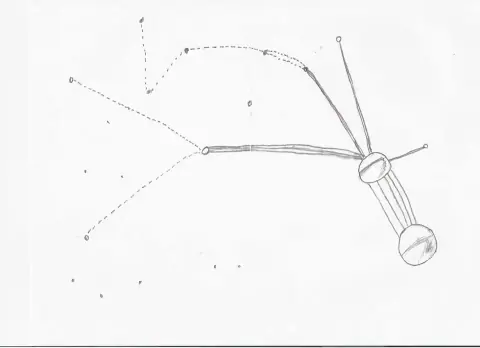 Betty Hill star map