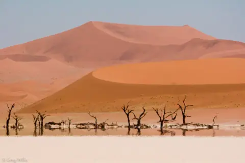 Namib Desert, Namibia