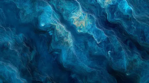 The Living Seas of Organon