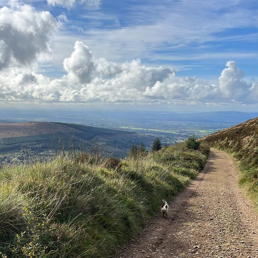ufo sighting limerick Ireland