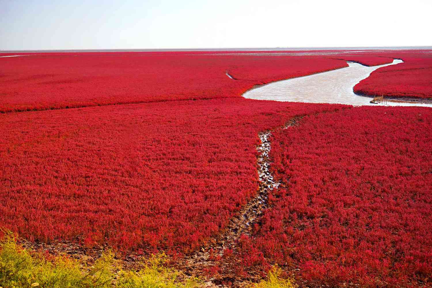 Red Beach, Panjin, China
