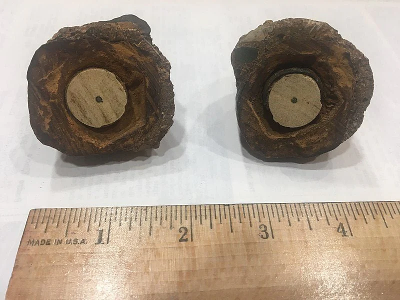 The Coso Artifact